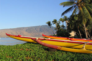 The 2006 MCAA Midyear Meeting will be held in Maui, Hawaii.