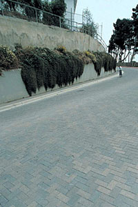 Figure 3: A street and pedestrian walkway with a 14-percent slope just after construction was completed in Medelln, Colombia.