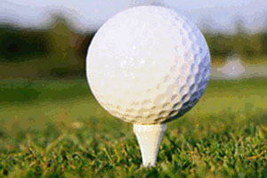 The Masonry Institute of Virginia Golf Outing will be held September 14, 2009.