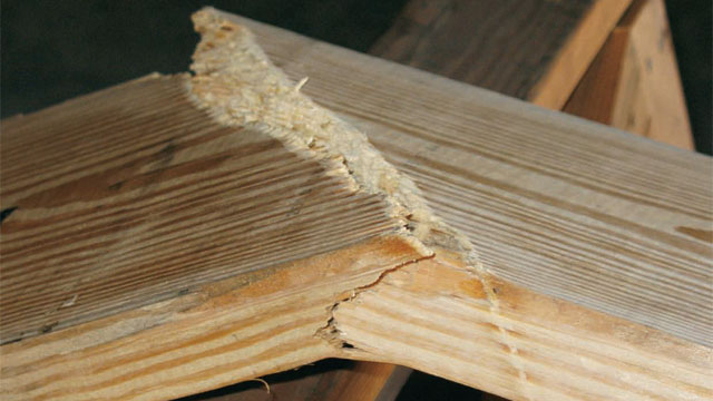 A slightly loaded timber break: What happens when a plank manufacturer misses a timber break.