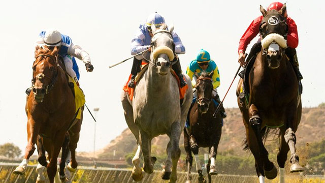 The MCA San Diego Annual Day at the Races will be held Friday, August 12, 2011.