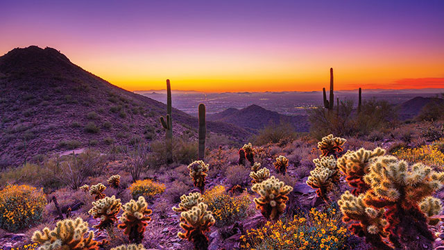 The MCAA Midyear Meeting takes place October 2-4, 2016 in Scottsdale, Ariz.